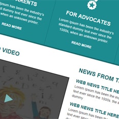 Web Development Agency