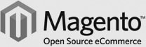 Magento eCommerce Shopping Cart